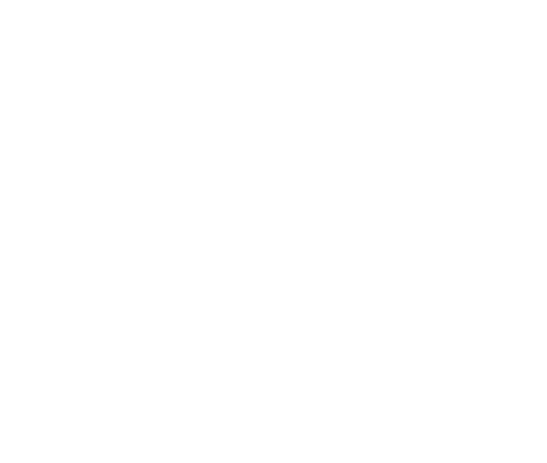 Epigenica